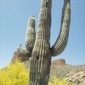 Meet your Posher, Lorilyn